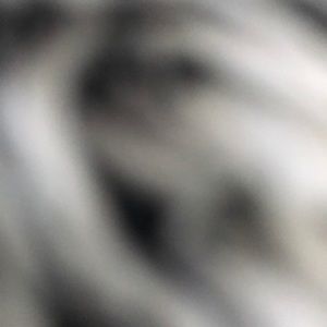 Meet your Posher, Gail